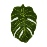 Monstera Leaf